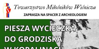 W niedzielę spacer z archeologiem do grodziska w Kopalinach