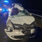 Wypadek na A4. Osobówka zderzyła się z łosiem