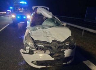 Wypadek na A4. Osobówka zderzyła się z łosiem