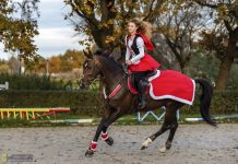 Niepołomicki Hubertus w bajkowym klimacie – ZDJĘCIA