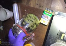 Bocheńscy policjanci zatrzymali poszukiwanego z narkotykami