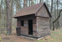 Bezdomna kilka dni mieszkała w leśnym schronie w Puszczy Niepołomickiej