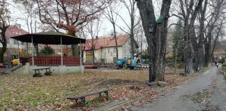 Bochnia. Radni dyskutowali o zmieniających się Plantach Salinarnych