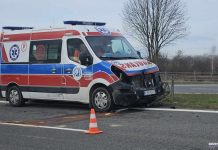 Karetka na sygnale jadąca z pacjentem z Brzeska zderzyła się z sarną