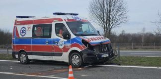 Karetka na sygnale jadąca z pacjentem z Brzeska zderzyła się z sarną