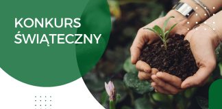 Bocheńskie starostwo zachęca do udziału w ekologicznym konkursie