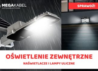 🔸 MEGAKABEL.pl: jasne wybory dla Twojego domu, ogrodu i nie tylko – naświetlacze oraz lampy uliczne, które rozświetlą Twoją przestrzeń!