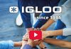 🔸 IGLOO stawia na rozwój. Dołącz do nas! – WIDEO