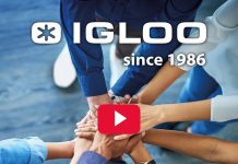 🔸 IGLOO stawia na rozwój. Dołącz do nas! – WIDEO