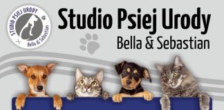 🔸 Bochnia. Zapraszamy do nowo otwartego Studia Psiej Urody!