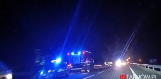 Dębno. Zderzenie ze stadem dzików na DK94