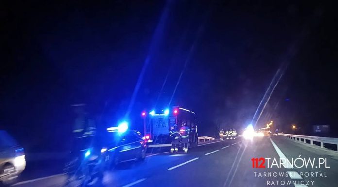 Dębno. Zderzenie ze stadem dzików na DK94