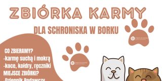 Starostwo Powiatowe w Bochni zachęca do zbiórki dla schroniska w Borku