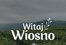 🔸 Wiosna: Czas Odkryć Nowe Możliwości na Działce