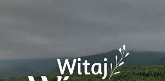🔸 Wiosna: Czas Odkryć Nowe Możliwości na Działce