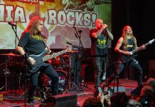 Bochnia Rocks. Tłumy na koncercie Davida Ellefsona – ZDJĘCIA