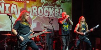 Bochnia Rocks. Tłumy na koncercie Davida Ellefsona – ZDJĘCIA