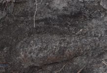 Niewybuch w Buczkowie. Wezwano saperów