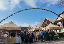 65. Konkurs Lipnickich Palm – ZDJĘCIA, WIDEO