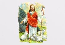 Życzenia od Józefy Szczurek-Żelazko – Posła na Sejm RP