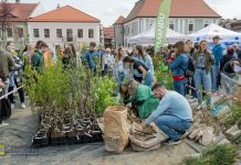 Bochnia. III Powiatowy Piknik Ekologiczny. Rozdano ok. 5 tys. drzewek! – ZDJĘCIA i WIDEO