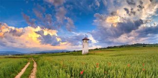 Milion złotych na małopolskie kapliczki