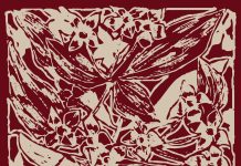 Muzeum. Oprowadzanie kuratorskie po wystawie „Ludwik Stasiak i jego Stella”