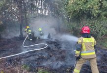 Bochnia. Strażacy gasili pożar traw i lasu