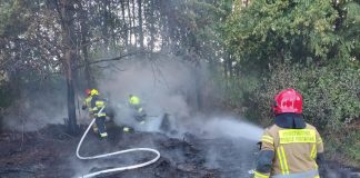 Bochnia. Strażacy gasili pożar traw i lasu