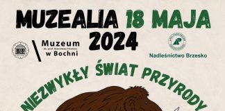Muzealia 2024. W programie otwarcie wystawy „Niezwykły świat przyrody”
