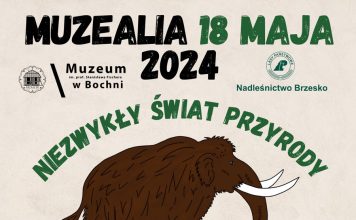 Muzealia 2024. W programie otwarcie wystawy „Niezwykły świat przyrody”