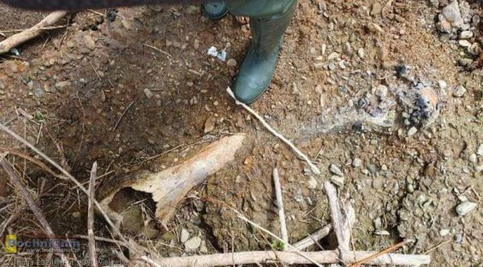 Książnice. Jest potwierdzenie – to kość mamuta!