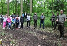 W Okocimiu powstała ścieżka edukacyjna „Las na wyciągnięcie ręki”