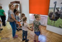 Muzeum w Bochni: Otwarto wystawę „Niezwykły świat przyrody”