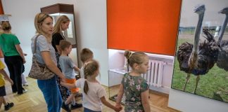 Muzeum w Bochni: Otwarto wystawę „Niezwykły świat przyrody”