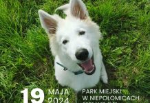 W niedzielę akcja „Z psem weselej w Niepołomicach”