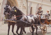 Niepołomice. W weekend III Międzynarodowy Konkurs Tradycyjnego Powożenia