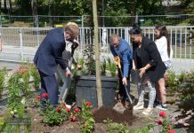 Bochnia. Przy „Dwójce” posadzono drzewo i zakończono projekt „Ogrody Sensoryczne” – ZDJĘCIA