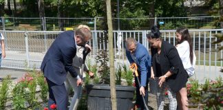 Bochnia. Przy „Dwójce” posadzono drzewo i zakończono projekt „Ogrody Sensoryczne” – ZDJĘCIA