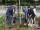 Bochnia. Przy „Dwójce” posadzono drzewo i zakończono projekt „Ogrody Sensoryczne” – ZDJĘCIA