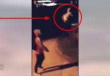 Rzucał kotem dla zabawy – właśnie usłyszał wyrok sądu