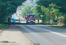 Bochnia. Drzewo przewróciło się na ul. Wiśnicką uderzając w samochód