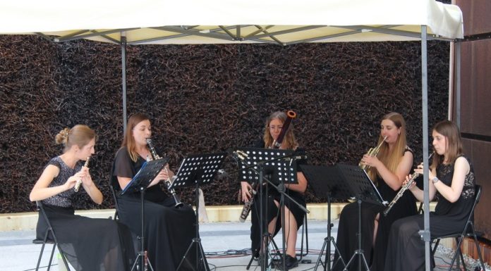 Bochnia. Koncert „Klasyka z przytupem” w Tężni – ZDJĘCIA