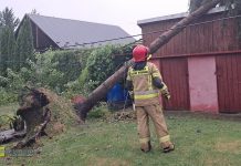 Burze przeszły nad Bocheńszczyzną. Powalone drzewa i pożar od pioruna