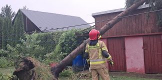 Burze przeszły nad Bocheńszczyzną. Powalone drzewa i pożar od pioruna
