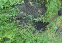 Brzesko. Zabił psa łopatą i zakopał za domem