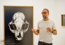 Kowalsky Gallery. Wystawa „To co dzikie nie ma słów” Michała Korty – ZDJĘCIA