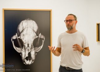 Kowalsky Gallery. Wystawa „To co dzikie nie ma słów” Michała Korty – ZDJĘCIA