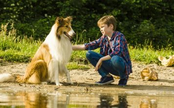 Niepołomice. W sobotę na Błoniach kino letnie oraz Noc z Gwiazdami