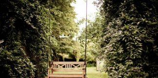 🔸 Jak stworzyć piękny i zadbany ogród na swojej działce?